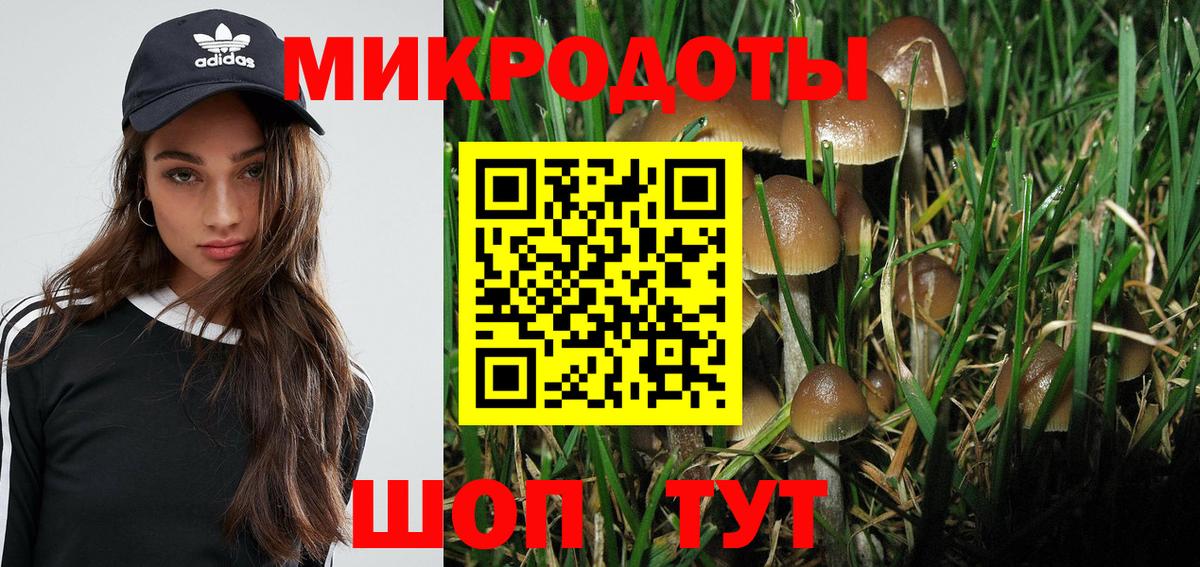 Галлюциногенные грибы GOLDEN TEACHER Карталы