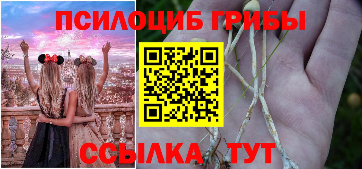 Псилоцибиновые грибы ЛСД  Вход с VPN  Карталы 